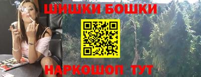 индика Абакан