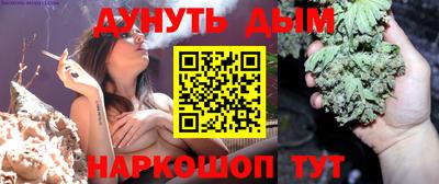 индика Абакан