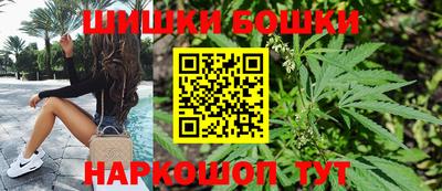 индика Абакан