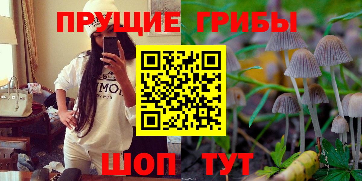 Астрахань  Псилоцибиновые грибы ЛСД  Галлюциногенные грибы MAGIC MUSHROOMS  Вход с VPN 
