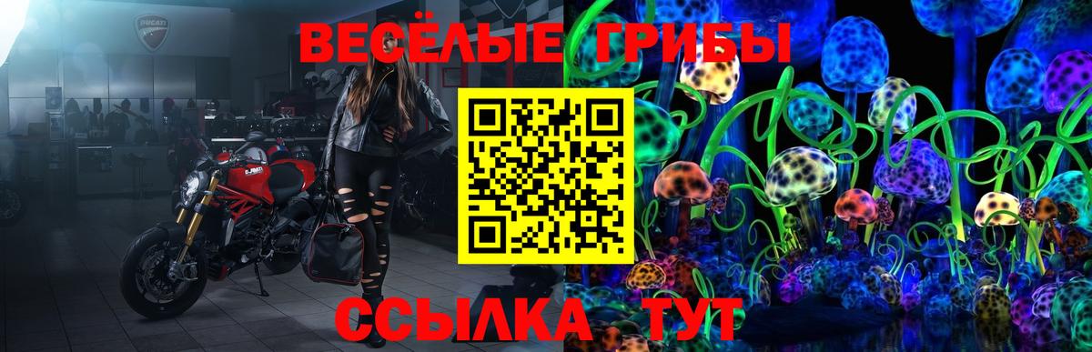 Псилоцибиновые грибы Psilocybe Астрахань